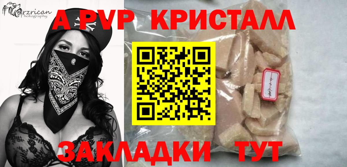 Альфа ПВП СК Гатчина