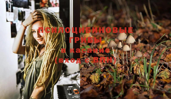 PSILOCYBIN Михайлов