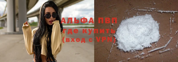 PSILOCYBIN Михайлов