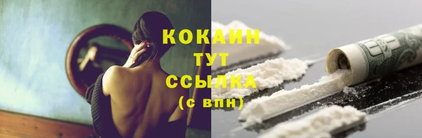 PSILOCYBIN Михайлов