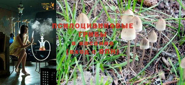 PSILOCYBIN Михайлов