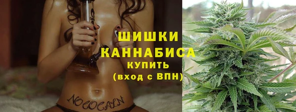 PSILOCYBIN Михайлов