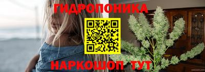 a pvp Жуковский