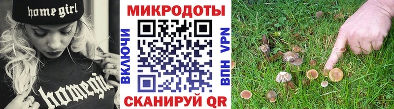 где купить Гатчина Псилоцибиновые грибы мухоморы