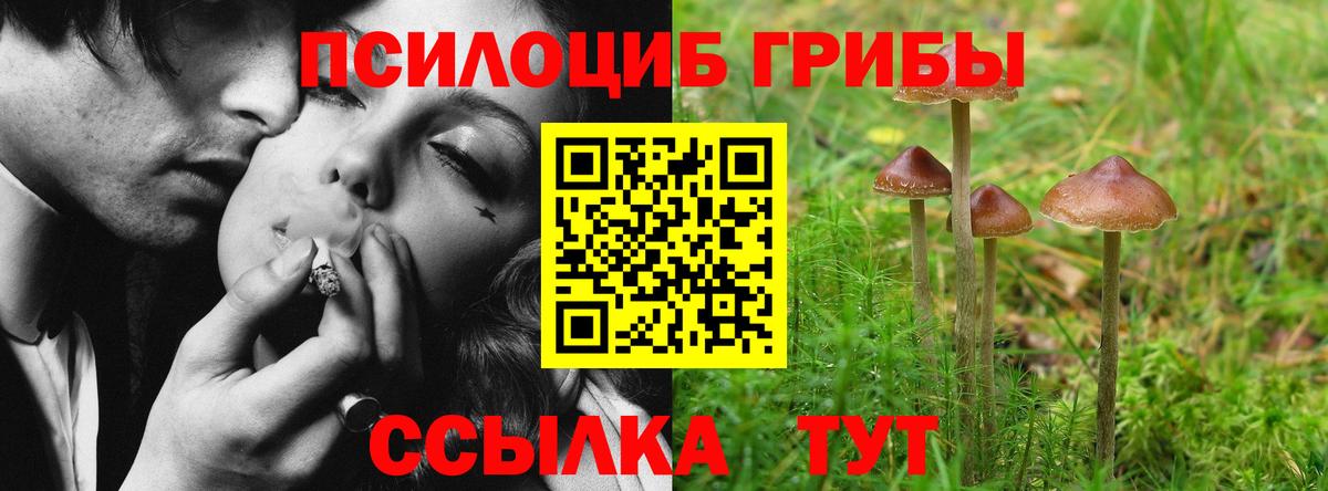 Гатчина  Галлюциногенные грибы Cubensis  купить  цена  Псилоцибиновые грибы мицелий  Вход с VPN 