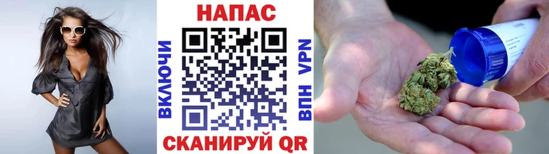 где найти   mega ССЫЛКА  Каннабис планчик  Гатчина 